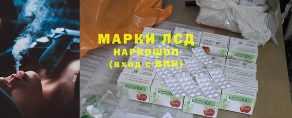 гашик Алексин
