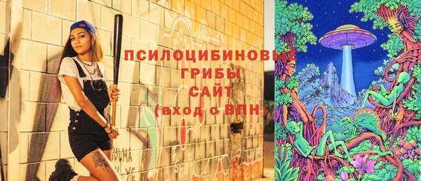 гашик Алексин