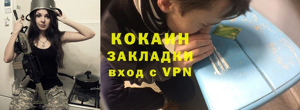 гашик Алексин