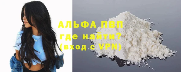 гашик Алексин