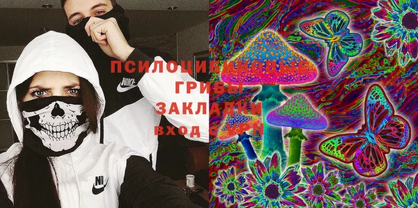 гашик Алексин