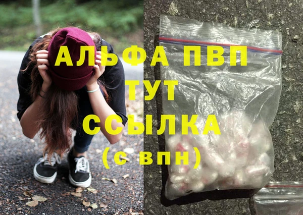 гашик Алексин