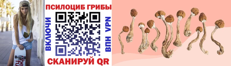 наркотики  Игра  Галлюциногенные грибы мицелий 
